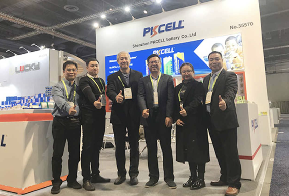 02 Global Leading 18650 Lithium Battery Exporter at CES International Exhibition in the US